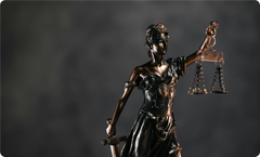 논리정연한 피해의 주장